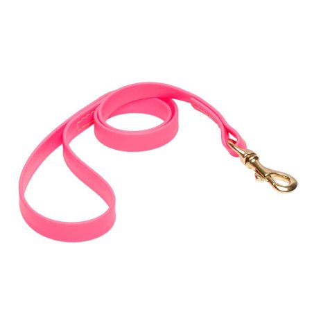 Pink Waterproof Riesenschnauzer Leash Made of Biothane