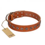 "Star Trek" FDT Artisan Tan Leather Riesenschnauzer Collar Decorated with Stars