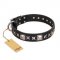 "Space Walk" FDT Artisan Black Leather Riesenschnauzer Collar with Adornments