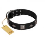 "Black Cavalier" Handmade FDT Artisan Black Leather Riesenschnauzer Collar with Silver-Like Stars and Large Plates