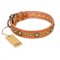 "Feast of Luxury" FDT Artisan Tan Leather Riesenschnauzer Collar with Old Bronze Look Circles
