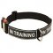 All Weather Nylon Riesenschnauzer Collar with ID Patches