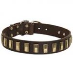 Leather Riesenschnauzer Collar with Awesome Brass Plates