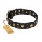 "Cosmic Glow" FDT Artisan Black Leather Riesenschnauzer Collar with Brass-Plated Studs