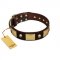 "Heavy Metal" FDT Artisan Brown Leather Riesenschnauzer Collar with Old Bronze-like Skulls and Plates