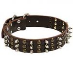 Riesenschnauzer Spikes and Studs Rows Leather Dog Collar