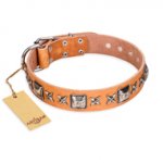 "Glamour Finery" FDT Artisan Female Riesenschnauzer collar of natural leather with stylish old-looking circles