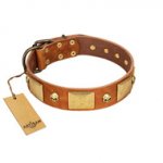 "Mutt The Daredevil" FDT Artisan Tan Leather Riesenschnauzer Collar with Old Bronze-like Skulls and Plates