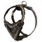 Painted Leather Riesenschnauzer Harness for Walking and Training