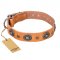 "Twinkle Twinkle" FDT Artisan Incredible Studded Tan Leather Riesenschnauzer Collar