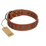 "Silver Century" Fashionable FDT Artisan Tan Leather Riesenschnauzer Collar with Silver-Like Plates