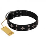 "Snappy Dresser" FDT Artisan Black Leather Riesenschnauzer Collar Adorned with Stars and Tiny Squares