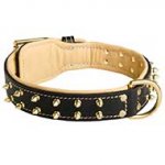 Royal Leather Riesenschnauzer Collar Spiked Padded with Nappa Leather