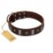 "War Chief" FDT Artisan Genuine Brown Leather Riesenschnauzer Collar with Skulls and Plates