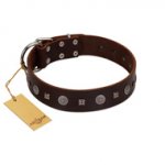 "Pure Sensation" Exclusive FDT Artisan Brown Leather Riesenschnauzer Collar with Fancy Brooches and Studs