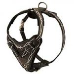 Painted Leather Riesenschnauzer Harness for Walking and Training