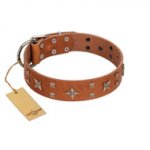 "Dreamy Gleam" FDT Artisan Tan Leather Riesenschnauzer Collar Adorned with Stars and Squares