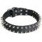 Leather Riesenschnauzer Collar with 2 Rows of Nickel Spikes