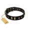 "Fit for Royalty" FDT Artisan Black Leather Riesenschnauzer Collar with Plates and Small Square Studs