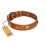 "Celtic Tunes" FDT Artisan Tan Leather Riesenschnauzer Collar Adorned with Stars and Squares