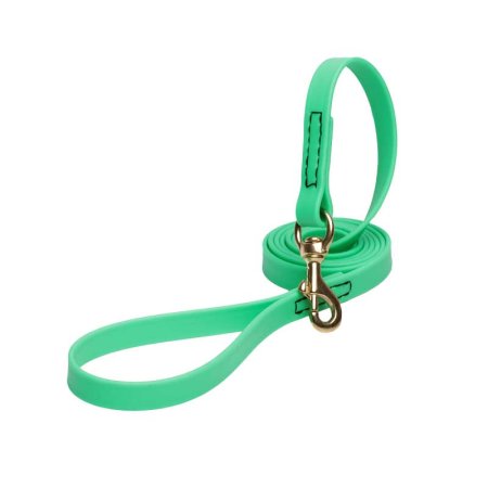 Green Waterproof Riesenschnauzer Leash Made of Biothane