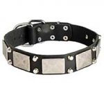Leather Riesenschnauzer Collar Decorated with Nickel Cones and Plates