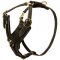 Padded Leather Riesenschnauzer Harness for Agitation Training