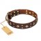 "High Fashion" FDT Artisan Embellished Brown Leather Riesenschnauzer Collar