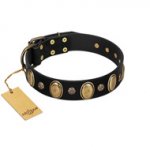 "Gilded Stones" FDT Artisan Black Leather Riesenschnauzer Collar with Old Bronze-like Ovals and Studs - 1 1/2 inch (40 mm) wide