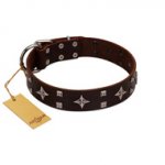 "Trendy Candy" FDT Artisan Brown Leather Riesenschnauzer Collar Adorned with Stars and Tiny Squares