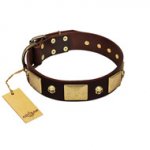 "Heavy Metal" FDT Artisan Brown Leather Riesenschnauzer Collar with Old Bronze-like Skulls and Plates