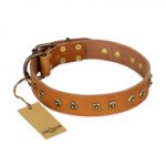 "Autumn Story" FDT Artisan Leather Riesenschnauzer Collar with Old Bronze Look Studs