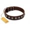 "Lucky Silver" Designer Handmade FDT Artisan Brown Leather Riesenschnauzer Collar