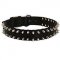 Riesenschnauzer Nylon Collar Spiked