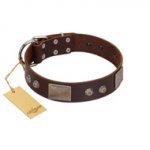 "Stone Stars" Stylish Handmade FDT Artisan Brown Leather Riesenschnauzer Collar