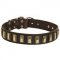 Leather Riesenschnauzer Collar with Awesome Brass Plates