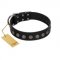 "Silent Star" Handmade FDT Artisan Designer Black Leather Riesenschnauzer Collar with Engraved Plates