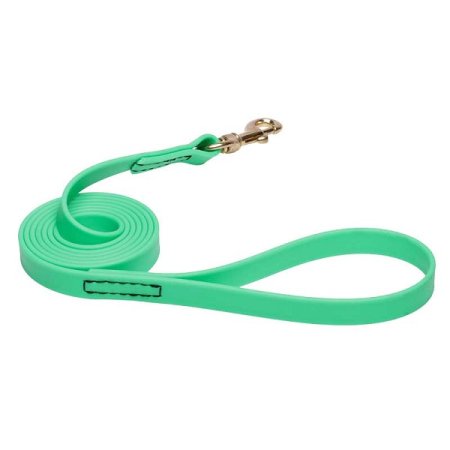 Green Waterproof Riesenschnauzer Leash Made of Biothane