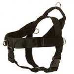 Riesenschnauzer Harness Nylon with Patches