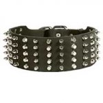 Riesenschnauzer Leather Collar Spiked and Studded