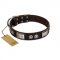 "Baller Status" FDT Artisan Brown Leather Riesenschnauzer Collar Adorned with a Set of Chrome Plated Studs and Plates