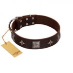"Cold Star" Designer FDT Artisan Brown Leather Riesenschnauzer Collar with Silver-Like Adornments