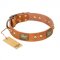 "Saucy Nature" FDT Artisan Tan Leather Riesenschnauzer Collar with Old Bronze Look Plates and Skulls