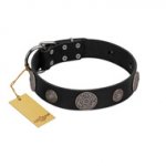 "Ad Infinitum" Durable FDT Artisan Black Leather Riesenschnauzer Collar with Chrome Plated Brooches