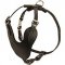 Adjustable Leather Riesenschnauzer Harness for Attack / Agitation Training