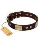 "Middle Age" FDT Artisan Brown Leather Riesenschnauzer Collar with Old Bronze-Plated Engraved Flowers and Large Plates
