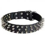 Leather Riesenschnauzer Collar with 3 Rows of Nickel Spikes