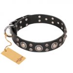 "Vintage Necklace" FDT Artisan Studded Black Leather Riesenschnauzer Collar