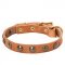 Leather Riesenschnauzer Collar with Brass Half-Ball Studs