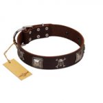 "Nut-Brown Finery" Embellished FDT Artisan Brown Leather Riesenschnauzer Collar with Chrome Plated Crossbones and Plates
